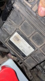 IMG_0171.jpeg